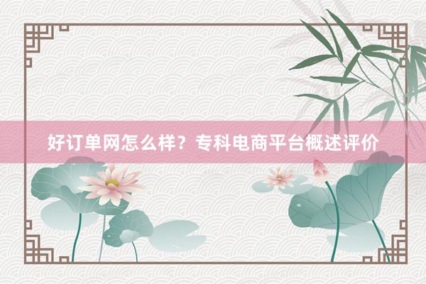 好订单网怎么样？专科电商平台概述评价