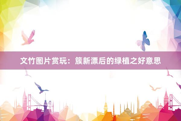 文竹图片赏玩：簇新漂后的绿植之好意思
